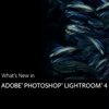 What's New in Lightroom 4