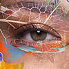 Adobe CS6 Artist Series
