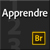 Apprendre Bridge CS6 - Show Logo