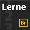Lerne Bridge CS6