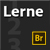 Lerne Bridge CS6 - Show Logo