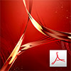 Die Acrobat XI Online Show
