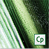 New in Adobe Captivate 7