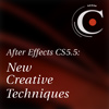 After Effects CS5.5 New Creative Techniques