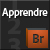 Apprendre Adobe Bridge CS5 - Show Logo