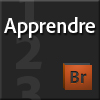 Apprendre Adobe Bridge CS5