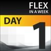 Flex in a Week - Day 1: Flex Basics