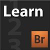 Learn Adobe Bridge CS4