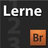 Lerne Adobe Bridge CS4