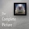 The Complete Picture with Julieanne Kost